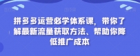 拼多多运营必学体系课程，最新流量获取方法、帮助你降低推广成本