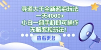 寻道大千全新蓝海玩法，一天4000+，小白一部手机即可操作，无脑变现玩法！
