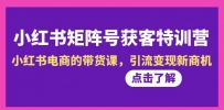 小红书矩阵号获客营-第10期，小红书电商的带货特训课，引流变现新商机
