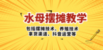 水母·摆摊教学，包括摆摊技术、养殖技术、拿货渠道、抖音运营等