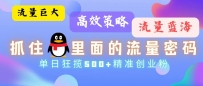 流量蓝海，抓住QQ里面的流量密码！高效策略，单日狂揽500+精准创业粉