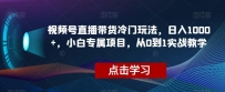视频号直播带货冷门玩法，日入1000+，小白专属项目，从0到1实战教学【揭秘】