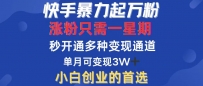 快手暴力起万粉，涨粉只需一星期，多种变现模式，直接秒开万合，小白创…
