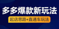 2023拼多多爆款·新玩法：起店思路+直通车玩法（3节精华课）