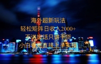 2025全新海外暴力玩法，操作简单，小白轻松上手