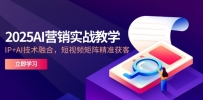 2025AI营销实战教学-5月，IP+AI技术融合，短视频矩阵精准获客