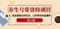 养生号带货特训营【12期】收益更稳定的玩法，让你带货收益爆炸-9节直播课