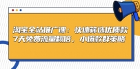 淘宝全站推广课：快速筛选优质款，7天免费流量翻倍，小爆款群策略