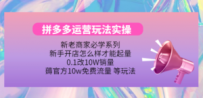 拼多多运营玩法实操，0.1改10W销量，薅官方10w免费流量 等玩法