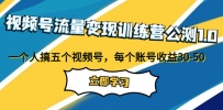 视频号流量变现公测1.0：走进你的小副业，一人掌握五个视频号，每个账号收益30-50