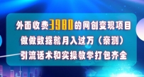 全媒体数据流量优化，月入1W+，外面收费4000+的项目