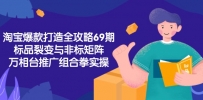 淘宝爆款打造全攻略-69期，标品裂变与非标矩阵，万相台推广组合拳实操