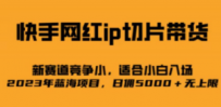 快手网红ip切片新赛道，竞争小事，适合小白 2023蓝海项目