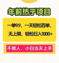 一单9.9，一天百单无上限，不挑人，小白当天上手，轻松日入1000+