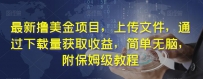 最新撸美金项目，上传文件，通过下载量获取收益，简单无脑，附保姆级教程【揭秘】