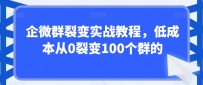 企微群裂变实战课程，低成本从0裂变100个群的