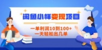 闲鱼小样变现项目，一单利润10到100+，一天轻松出几单