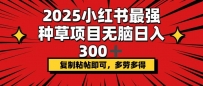 2025小红书最强种草项目，无脑日入300+，复制粘帖即可，多劳多得