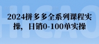 2024拼多多全系列课程实操，日销0-100单实操【必看】