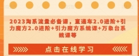 2023淘宝流量爆款课：直通车2.0进阶，引力魔方系统让你轻松引爆销售