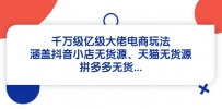 千万级亿级大佬电商玩法：涵盖抖音小店无货源、天猫无货源、拼多多无货…