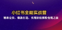 小红书全能实战营：精准定位，爆款打造，实现轻松涨粉变现之旅