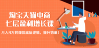 淘宝天猫电商七层盈利增长课：月入N万的爆款底层逻辑，提升销量