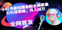 小红书虚拟掘金配合独家首发暴力引流思路，月入过万