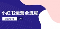 小红书运营全流程，爆款选题文案，视频制作技巧，进阶达人宝典