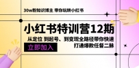 小红书特训营12期：从定位 到起号、到变现全路径带你快速打通爆款任督二脉
