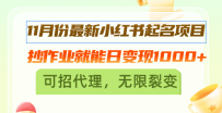 1月份最新小红书起名项目，抄作业就能日变现1000+，可招代理，无限裂变