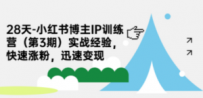 28天-小红书博主IP训练营（第3期）实战经验，快速涨粉，迅速变现