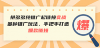 拼多多纯推广起链接实战：多种推广玩法，手把手打造爆款链接