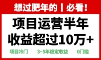 年前过肥年的必看的超冷门项目，半年收益超过10万+
