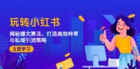 玩转小红书：揭秘爆文算法，打造高效种草与私域引流策略
