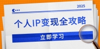 个人IP变现全攻略：私域运营,微信技巧,公众号运营一网打尽,助力品牌推广