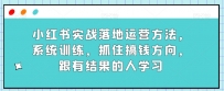 小红书实战落地运营方法，系统训练，抓住搞钱方向，跟有结果的人学习