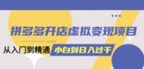 拼多多开店虚拟变现项目：入门到精通 从小白到日入1000（完整版）6月13更新