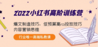 2022小红书高阶训练营：爆文制造技巧，低预算高roi投放技巧，内容营销思维