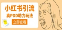 利用小红书卖拼多多助力，日赚100+，顺便还能引个流
