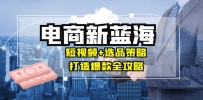 商家必看电商新蓝海：短视频+选品策略，打造爆款全攻略，月入10w+
