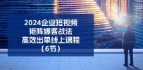 2024企业-短视频-矩阵 爆客战法，高效出单线上课程（6节）