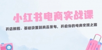 小红书电商实战课：开店教程、基础设置到商品发布，开启你的电商变现之路
