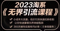 2023淘系无界引流实操课程，​小投入大流量，低成本引流快速拉新，让你迅速掌握突破瓶颈的无界引流技巧！