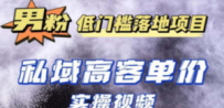 最新超耐造男粉项目实操教程，抖音快手引流到私域自动成交 单人单号日1000+