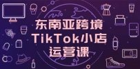 东南亚跨境TikTok小店运营课，掌握店铺设置与流量转化核心技巧