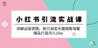 小红书引流实战课：详解运营逻辑，助力淘宝天猫销售增量，爆品打造月入10w
