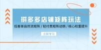 拼多多店铺矩阵玩法：低客单自然流矩阵 / 轻付费矩阵 动销 / 核心权重提升