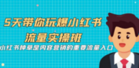5天带你玩爆小红书流量实操班，小红书种草是内容营销的重要流量入口