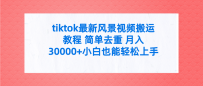 tiktok最新风景视频搬运教程 简单去重 月入30000+附全套工具